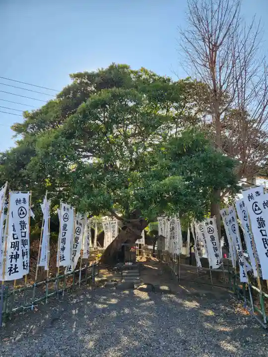 龍口明神社(神奈川県)
