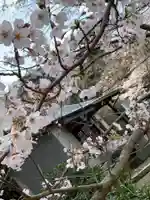 三神社の自然
