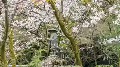 勧修寺(京都府)