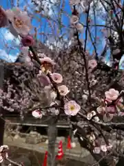 金蔵寺(千葉県)