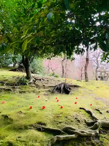 城南宮(京都府)