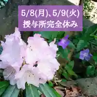 阿邪訶根神社の自然
