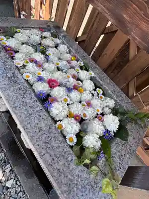 札幌八幡宮(北海道)