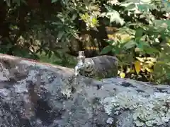 治田神社(奈良県)