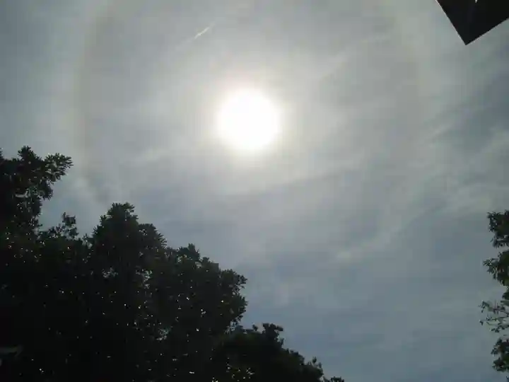 屋久島大社の自然