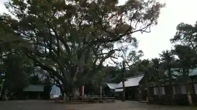 伊曽乃神社のその他建物