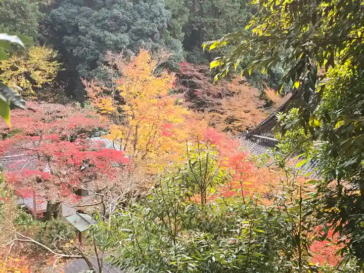 宗鏡寺(兵庫県)