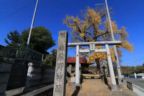 熊野神社の鳥居