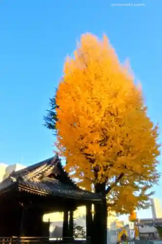 根津神社(東京都)