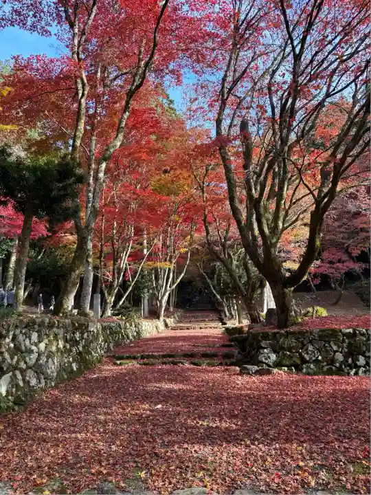 鶏足寺(滋賀県)