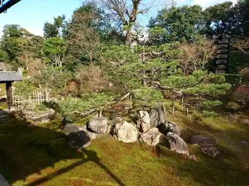 両足院の庭園