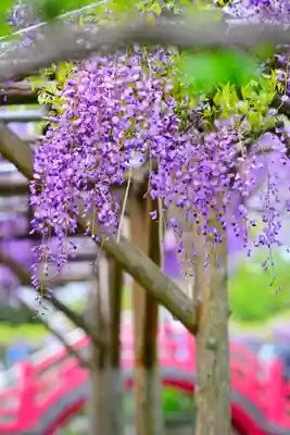 亀戸天神社(東京都)