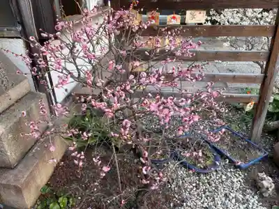 持明院(大阪府)