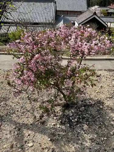 八事山 興正寺(愛知県)