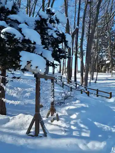 上野幌神社のおみくじ