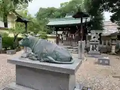 島田神社の狛犬