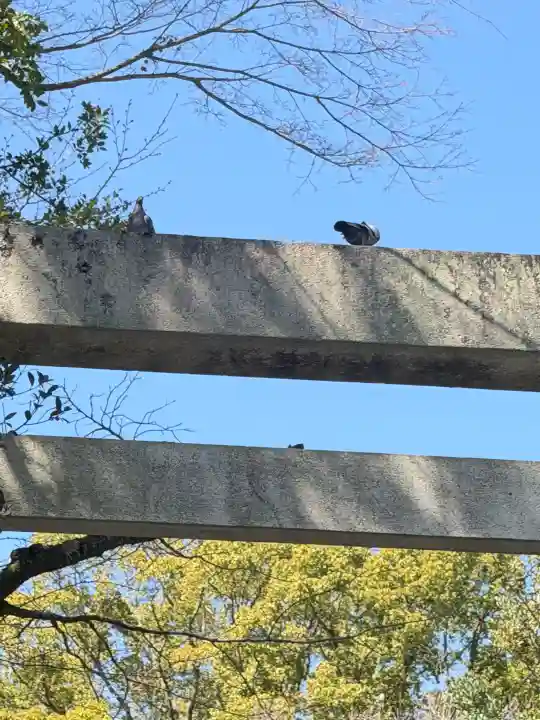 報徳二宮神社の{uncategorized: "未分類", other: "その他", undefined: "問題あり", building: "その他建物", grave: "お墓", sacred_gate: "鳥居", guardian: "狛犬", statue: "像", buddha: "仏像", history: "歴史", nature: "自然", garden: "庭園", animal: "動物", pagoda: "塔", temizu: "手水舎", mountain_gate: "山門・神門", sanctuary: "本殿・本堂", subordinate: "末社・摂社", art: "芸術", scenery: "景色", jizo: "地蔵", ema: "絵馬", goshuin: "御朱印", omikuji: "おみくじ", items: "授与品その他", amulet: "お守り", goshuincho: "御朱印帳", eats: "食事", festival: "お祭り", votive_dance: "神楽", shichigosan: "七五三参", wedding: "結婚式", experience: "体験その他", initially: "初詣", around: "周辺", anti_infection: "感染症対策"}