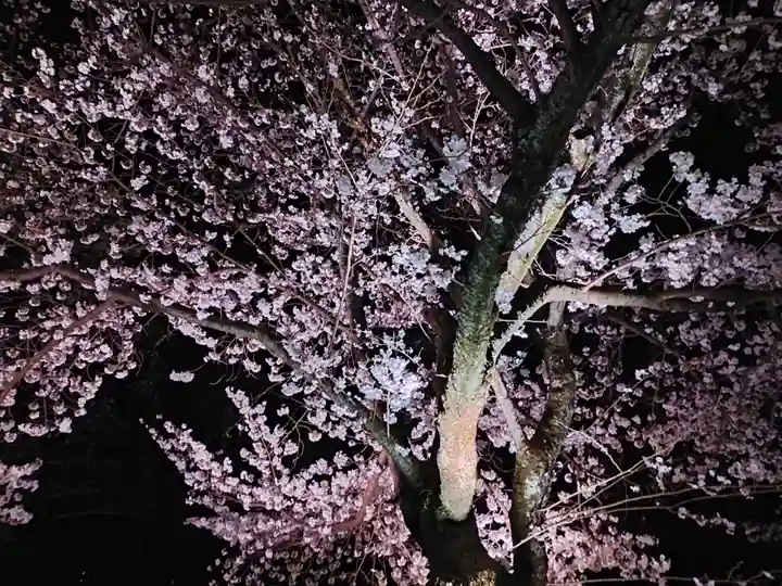 知恩院(京都府)