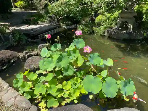 長谷寺(神奈川県)