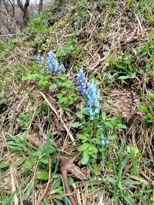 春日高台神社(北海道)
