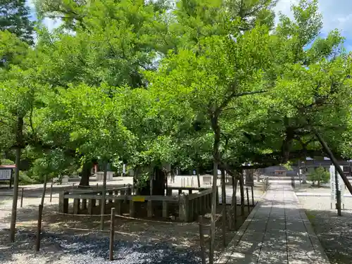 誕生寺の建物その他