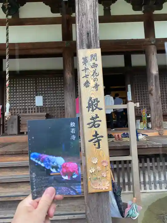 般若寺 ❁コスモス寺❁(奈良県)