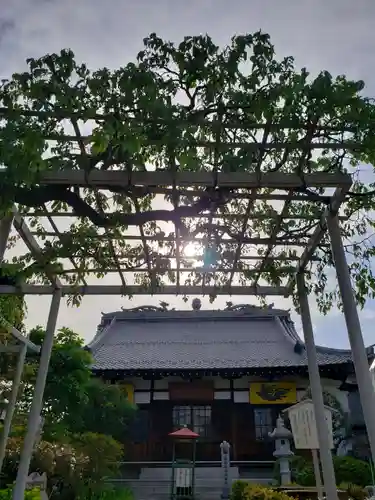 長善寺の本殿・本堂