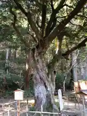 小國神社(静岡県)