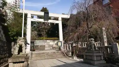 乃木神社の鳥居