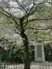 靖國神社の{uncategorized: "未分類", other: "その他", undefined: "問題あり", building: "その他建物", grave: "お墓", sacred_gate: "鳥居", guardian: "狛犬", statue: "像", buddha: "仏像", history: "歴史", nature: "自然", garden: "庭園", animal: "動物", pagoda: "塔", temizu: "手水舎", mountain_gate: "山門・神門", sanctuary: "本殿・本堂", subordinate: "末社・摂社", art: "芸術", scenery: "景色", jizo: "地蔵", ema: "絵馬", goshuin: "御朱印", omikuji: "おみくじ", items: "授与品その他", amulet: "お守り", goshuincho: "御朱印帳", eats: "食事", festival: "お祭り", votive_dance: "神楽", shichigosan: "七五三参", wedding: "結婚式", experience: "体験その他", initially: "初詣", around: "周辺", anti_infection: "感染症対策"}