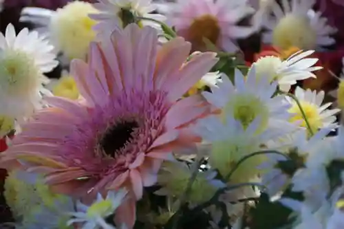 豊景神社の手水舎