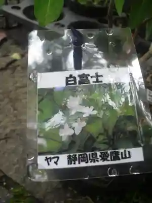 光則寺の手水舎