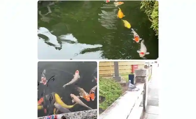 豊川閣 妙厳寺(愛知県)