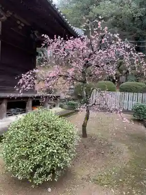 白峯寺(香川県)