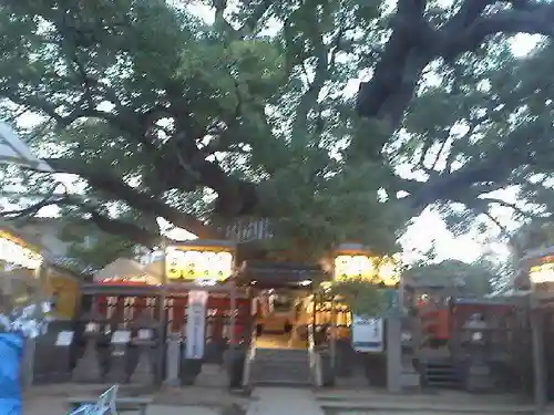 三島神社の自然