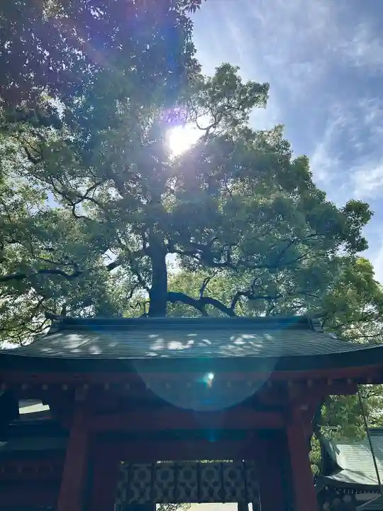武蔵一宮氷川神社(埼玉県)