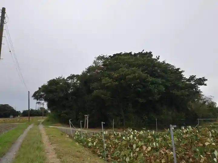 祠(名称不明)の周辺