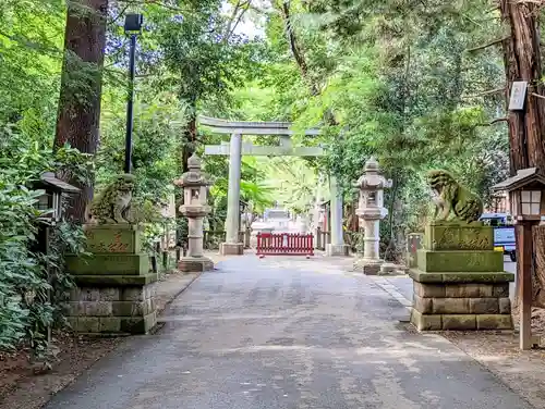 岩槻久伊豆神社の鳥居