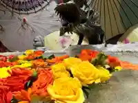 札幌諏訪神社の手水舎