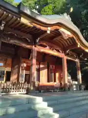 櫻山八幡宮(岐阜県)