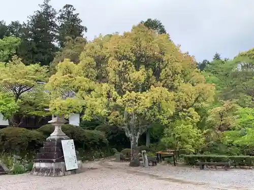 観心寺のその他建物