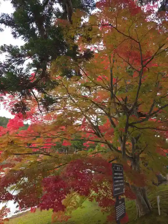毛越寺の御朱印