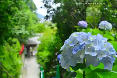 岩殿寺(神奈川県)