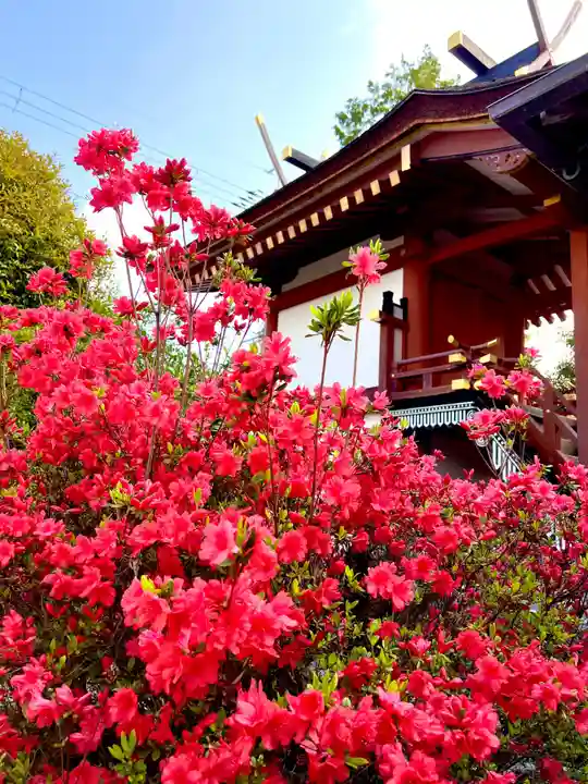 崇道天皇社(奈良県)