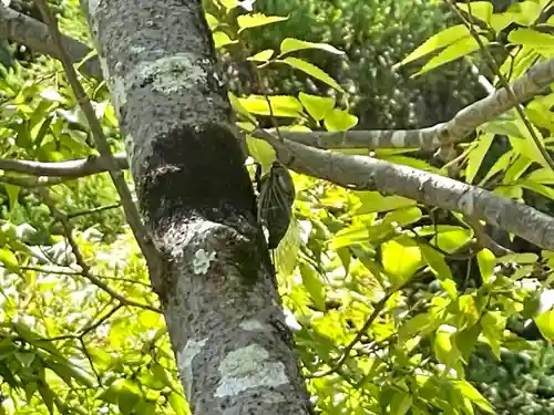 伊勢の国 四天王寺(三重県)