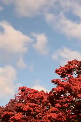 源光庵(京都府)