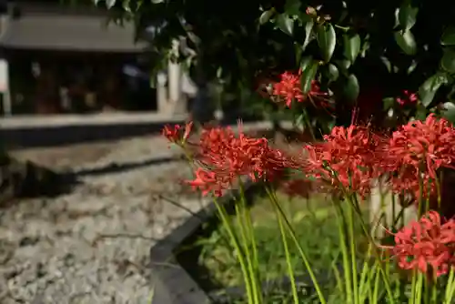 磐井神社の自然