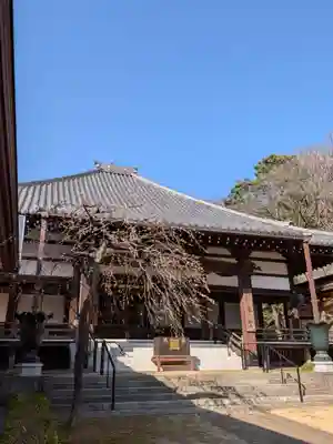 妙法寺(東京都)