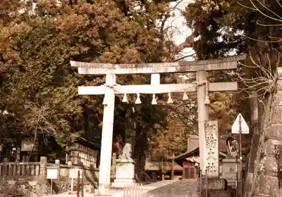 諏訪大社下社春宮(長野県)