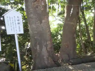 検見川神社のその他建物